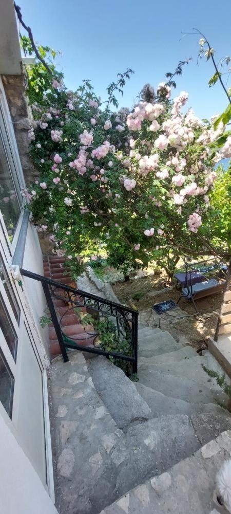 Panoramic View With Jacuzzi Apartment Vis Exterior photo